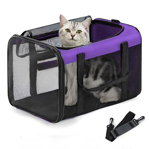 Cat Carrier Bag (M / Purple)