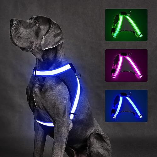 Light Up Dog Harness (Medium / Blue)