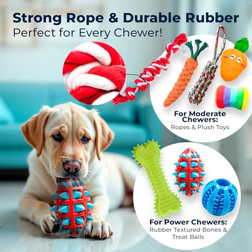 Dog Chew Toys (18 Count / 18 Pack - Classic)