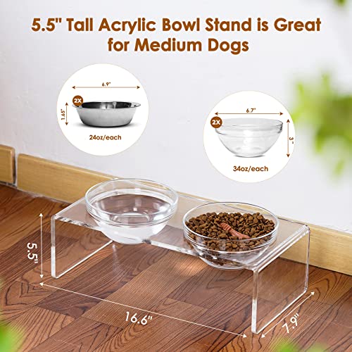 Acrylic Elevated Dog Cat Bowls Pet Feeder Double Bowl Raised Stand Comes with 2 Removable Glass Bowls and 2 Stainless Steel Bowls.Perfect for Medium Dogs (Medium: 5.5'' Height, 34 oz Glass Bowl)