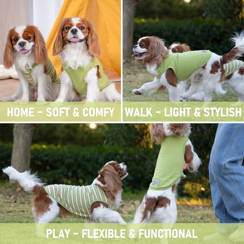 2Pack Cotton Dog Shirt for Small Dogs Soft Striped Tank Top (Large (13-19lbs) / 05# 2Pack (Green+Striped))