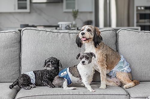 Washable Belly Bands for Male Dogs (Large (20-25") / Kahuna)