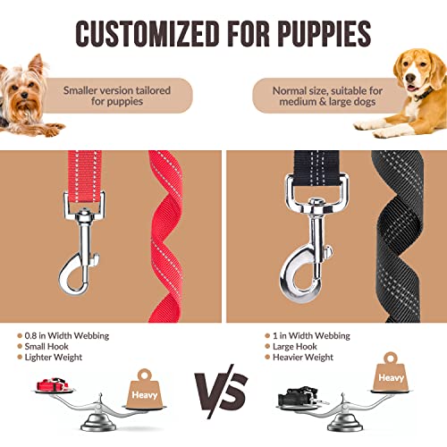 Dog Seat Belt for Car (C.Red)