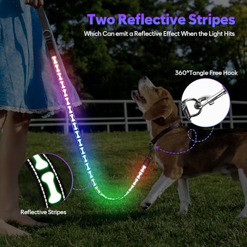 Light Up Dog Leash (Grey)