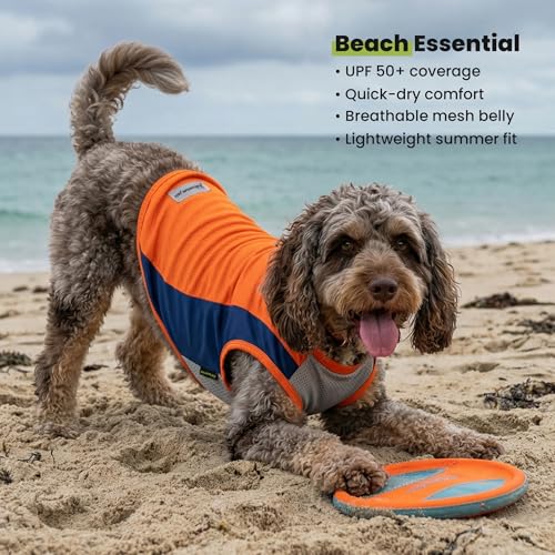 2 Pack UPF 50+ UV Sun Protection Dog Shirt (Small / Orange-Blue)