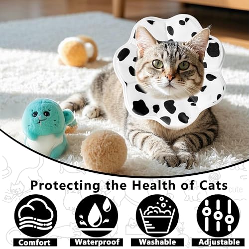 Soft Adjustable Cat Cone Collar (Milk / Medium)