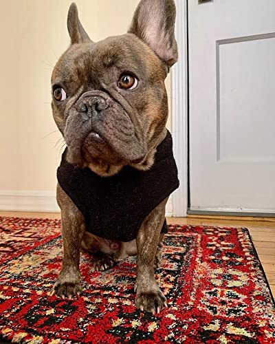 Stretch Fleece Vest Dog Sweater (Medium Length (11.5") / Black)