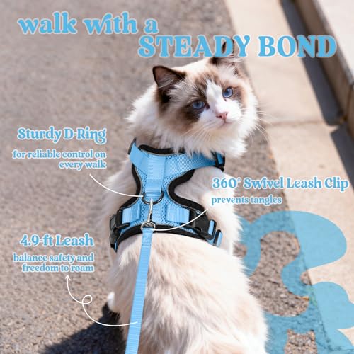 Cat Harness and Leash Set (S / Light Blue)