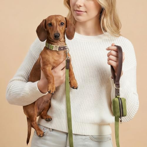 PU Leather Dog Leash for Small Dogs (Olive Green / 5/8"x 5FT)