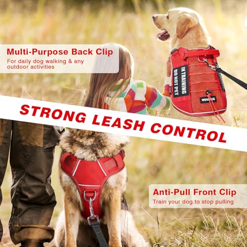 Service Dog in Training Mesh Harness with 10 Removale Pet Patches (Medium / Red)