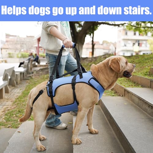 Dog Lift Harness for Large Dogs (Blue / L)