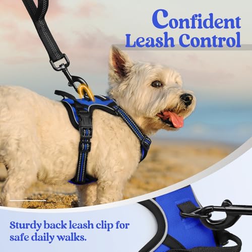Dog Harness No Pull for Small Dogs with 2 Leash Clips (X-Small / Dazzling Blue)