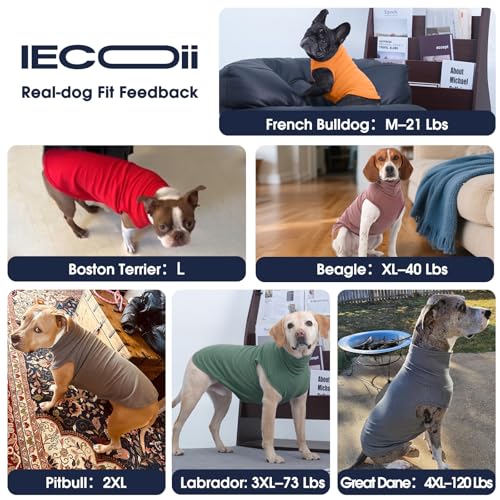 XXL Dog Sweater (XX-Large / Green)