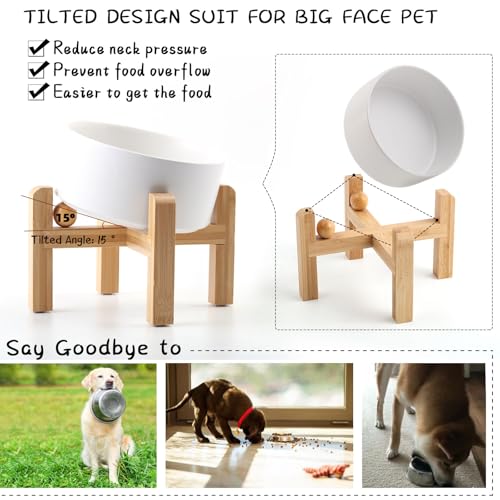 White Elevated (White / 7.6 CUPS - Medium Large Dog Bowls)