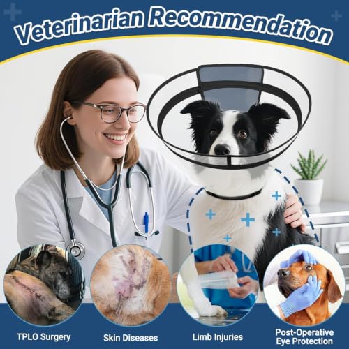 Dog Cone to Stop Licking (Black / S(Neck: 10"-11.75"))