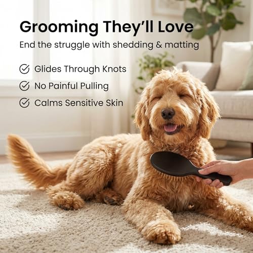 Pin Brush for Dogs (Silver Pins)