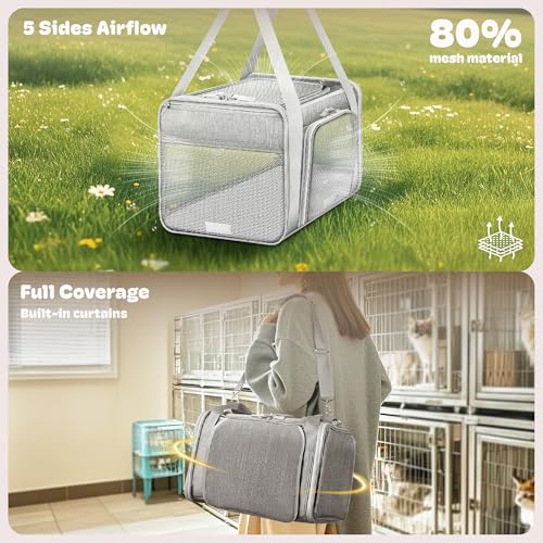 Top and 2 Sides Expandable Pet Carrier 17x11x9.5 TSA Airline Approved (Grey / 17.0"L x 11.0"W x 9.5"H)