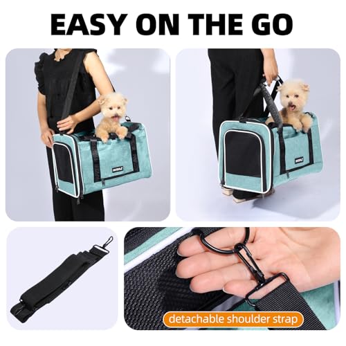 Cat Carrier for Travel (Teal / 18.0"L x 11.0"W x 11.0"H)