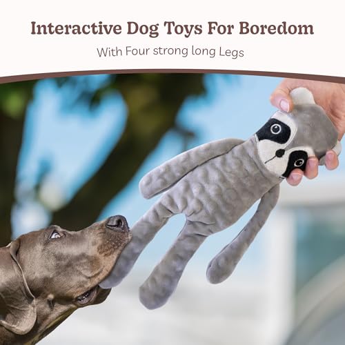 No Stuffing Dog Toys 5 Pack (For Medium and Large Breed / 1 Pack - Raccoon)