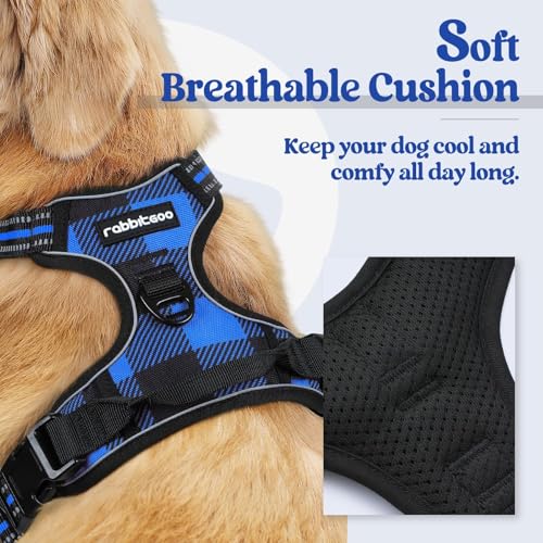 Dog Harness No Pull for Small Dogs with 2 Leash Clips (Small / Blue Plaid)