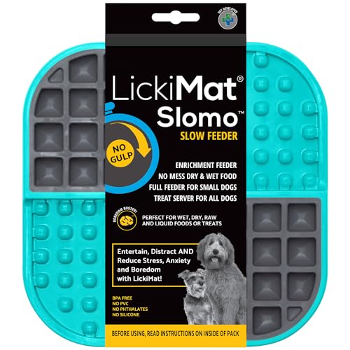 Slomo Dog Slow Feeding Lick Mat (Turquoise)