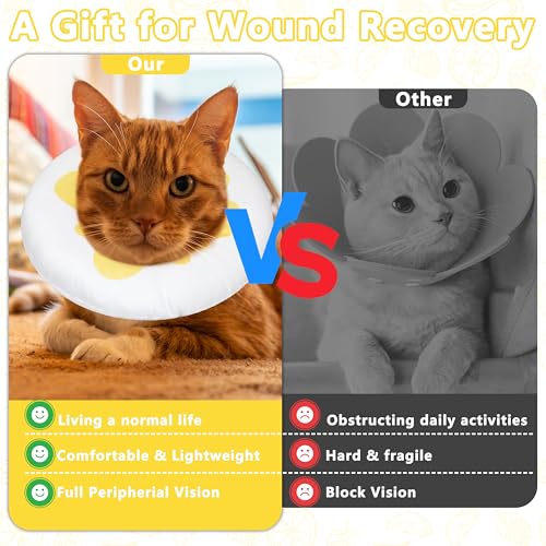 Cat Cone Collar Soft (Egg / Large)