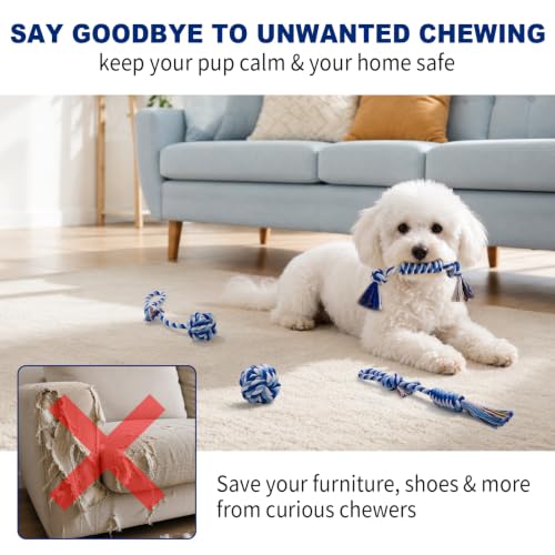 Dog Rope Toys for Small Dogs & Puppies (Blue / Small)