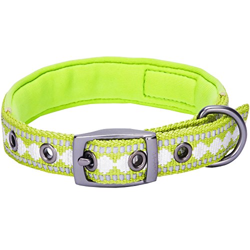 Reflective Jacquard Dog Collar with Neoprene Padding & Metal Buckle (Small / Metal Buckle-Macaw Green)