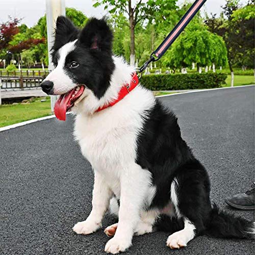 Nylon Short Traffic Leash with Padded Handle (Wide-Pink)