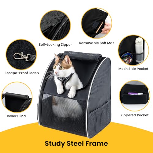 Cat Backpack Carrier for Small Dogs and Cats Fit Up to 15 Lbs (Black)
