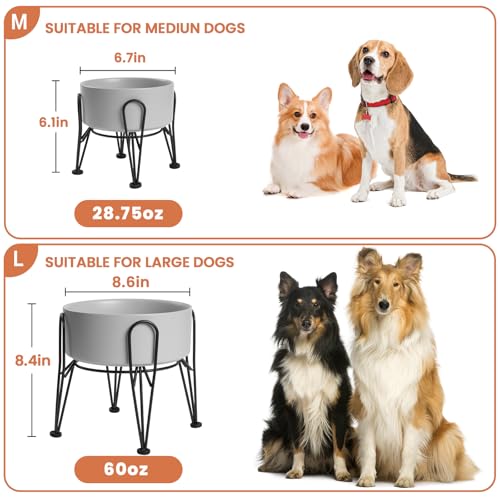 Elevated Dog Bowls (Gray / 3.6 Cups | 2 Pack | For Medium Dogs)