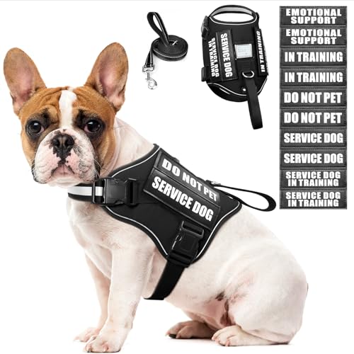 Dog Harness & Leash Set (Medium / Black)
