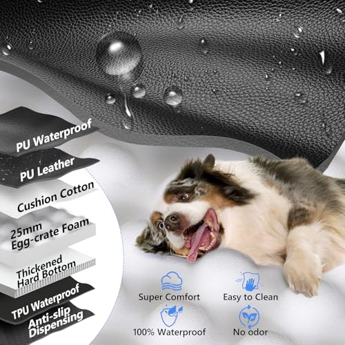 Hard Bottom Dog Car Seat Cover for Back Seat (L - For Cars/ Mid-Size SUV/ Small Truck / Glossy Black)