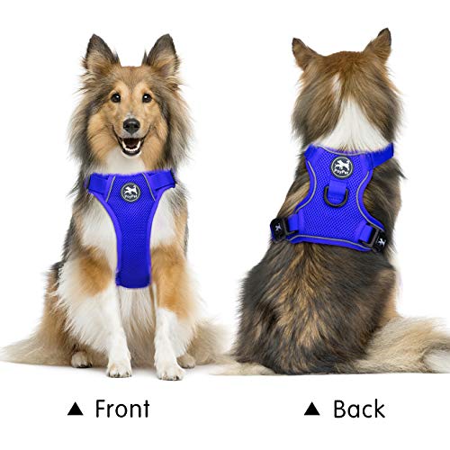 Mesh Dog Harness (L / Royal Blue)