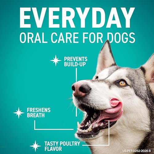 Dental Chews for Dogs (30 Count (Pack of 1))