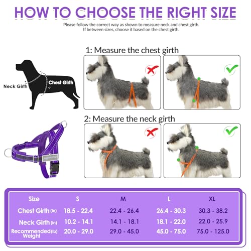 No Pull Dog Harness and Leash Set (Purple / Medium)