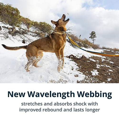 Roamer Bungee Dog Leash (5.5'-7' / Yellow Snow)