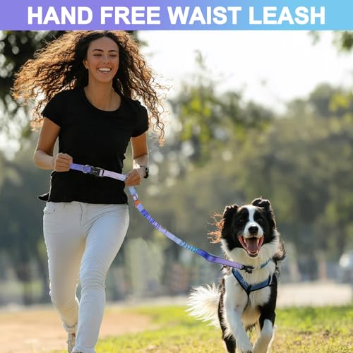 Heavy Duty Hands Free Dog Leash with Quick Release Carabiner and Adjustable No Pull Bungee Dog Running Waist Leash (Aurora Purple)