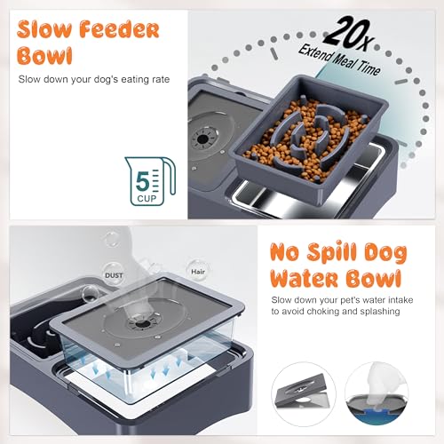 3-in-1 Elevated Dog Bowls with 4 Height Adjustable Raised Stand (Blue)