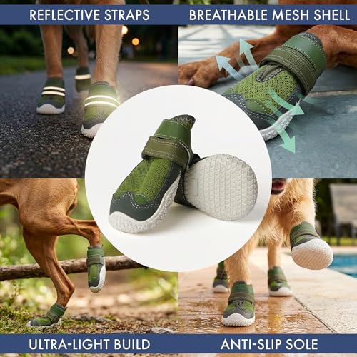 365 Dog Shoes (Green / Size 6: 2.6"x2.95"(W*L) (Pack of 4))