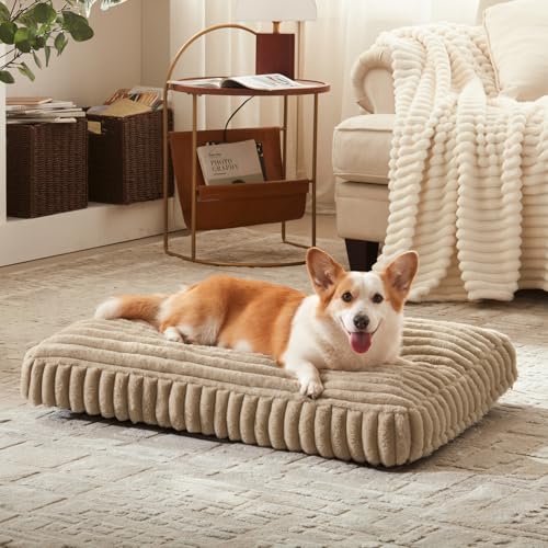 Dog Beds Large Sized Dog (Beige / L(35"x23"x4"))