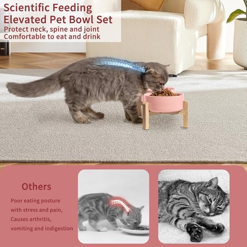 Elevated Ceramic Dog Bowl (Pink / Small)