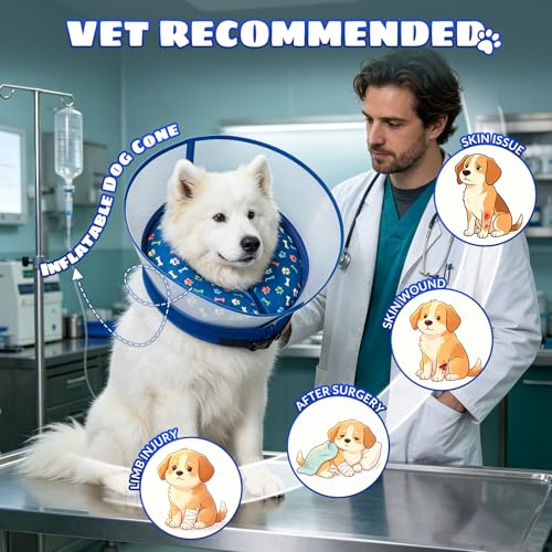 2-in-1 Inflatable Dog Cone Collar, Transparent Anti-Licking Shield with Detachable Soft Padding, Adjustable Elizabethan Collar for Small, Medium, Large Dogs and Cats (M) ((M）)