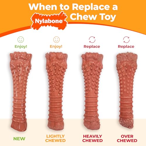 Power Chew Original Bone Dog Chew Toy (Large)