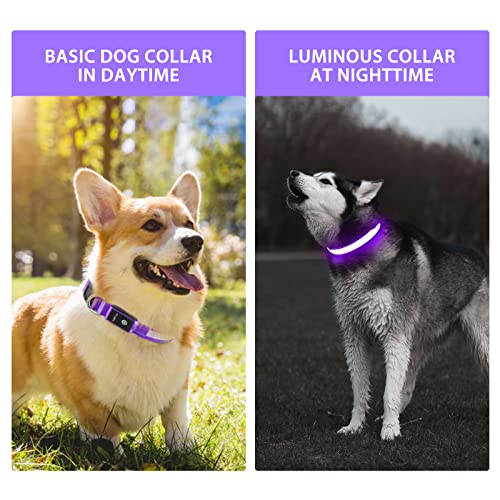 Light up Dog Collar (Purple / M(15 inch-19.7 inch))