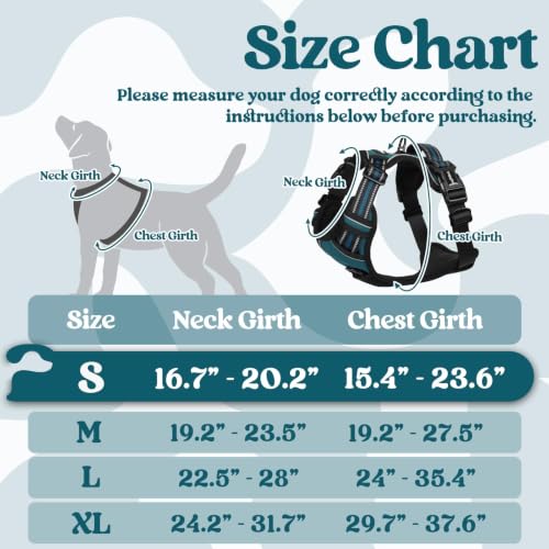 Dog Harness Small Sized (Small / Blue Coral)