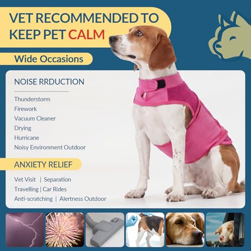 Pet Anxiety Vest Jacket (Rose-Red / 2XL(Chest:35.4"-41.3"))