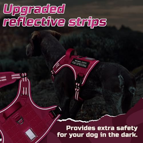 Tactical Dog Harness for Large (Rose Red / Large)