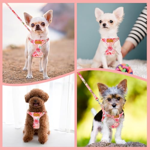 No Pull Dog Harness with Leash for Small Medium Dogs (Small(11-17.5lb) / Pink Rose)