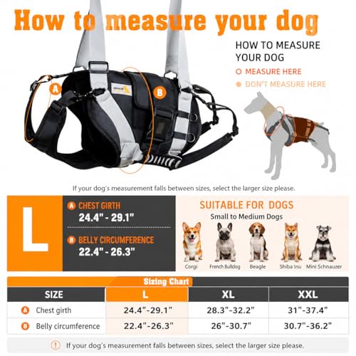 Dog Lift Harness for Large Dogs (Black / Large)